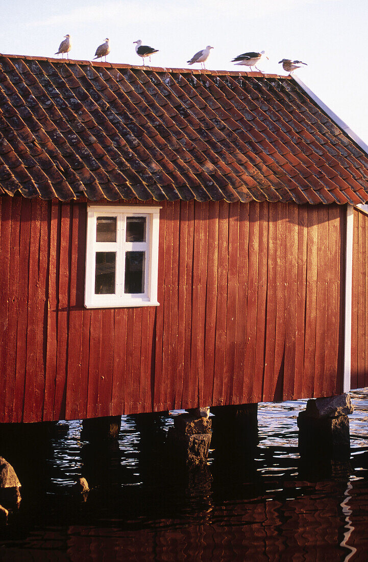 Boathouse. Havstenssund. Bohuslan. Sweden.