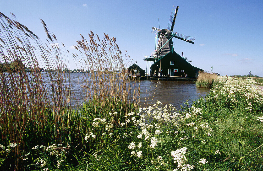Windmill, Zaanse Schans. Holland