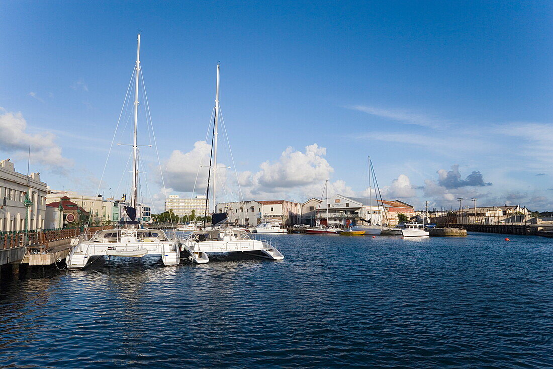 Catamarans anchoring in harbor, Bridgetown, Barbados, Caribbean
