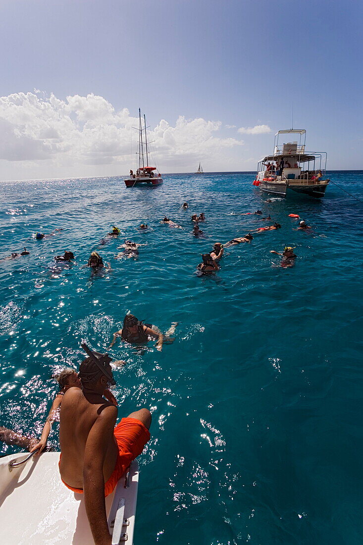 People snorkeling in the Atlantic Ocean, West Coast, Barbados, Caribbean