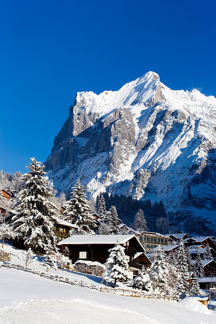 Almhütte vor Wetterhorn, Grindelwald, Berner Oberland, Kanton Bern, Schweiz