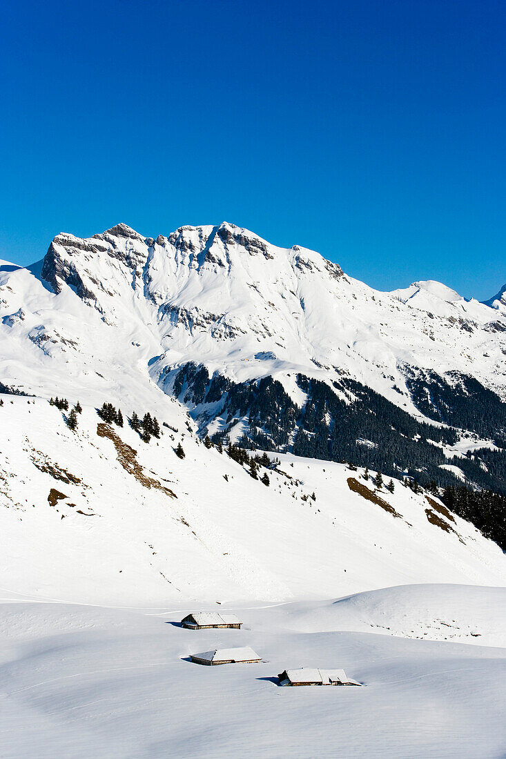 Blick auf schneebedeckte Almhütten, Grindelwald, Berner Oberland, Kanton Bern, Schweiz