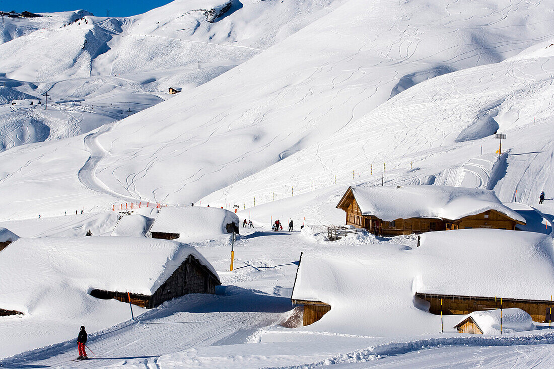 Skifahrer auf der Piste, Schiltlift im Hintergrund, First, Grindelwald, Berner Oberland, Kanton Bern, Schweiz