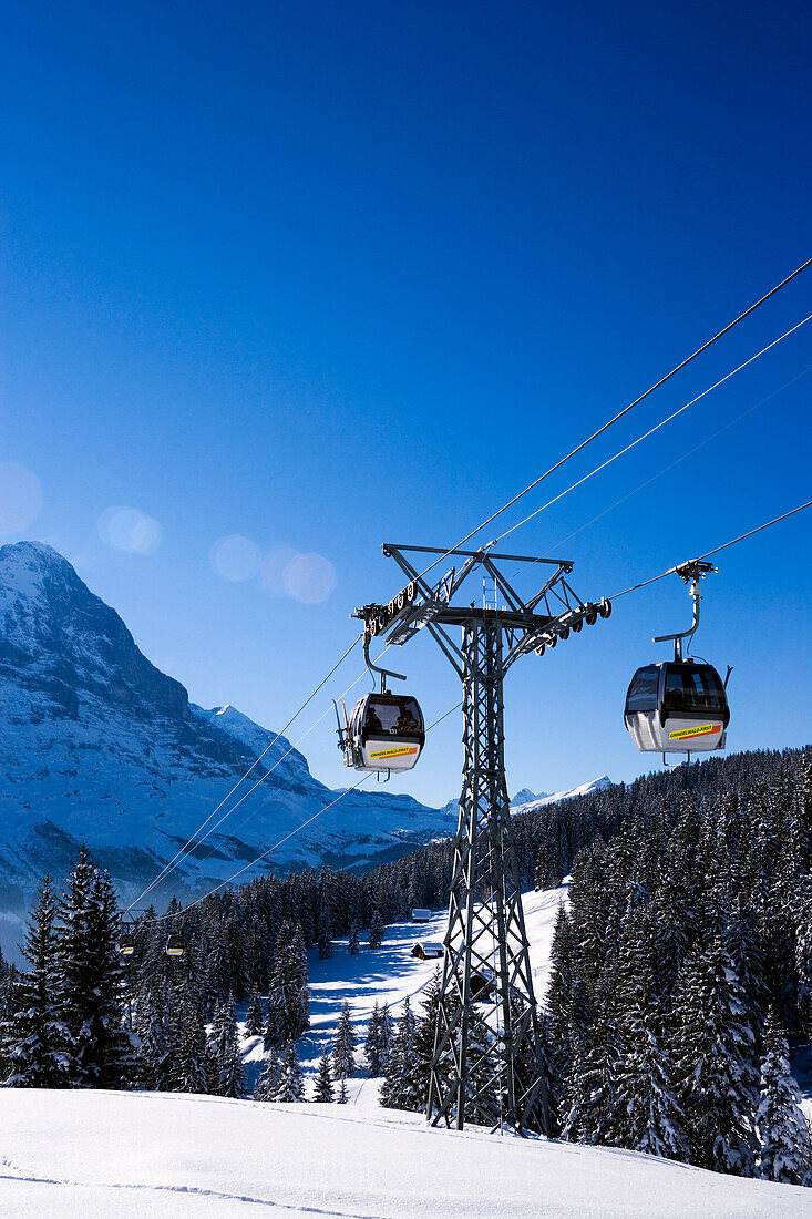 Gondola cable car passing, First, Grindelwald, Bernese Oberland, Canton of Bern, Switzerland