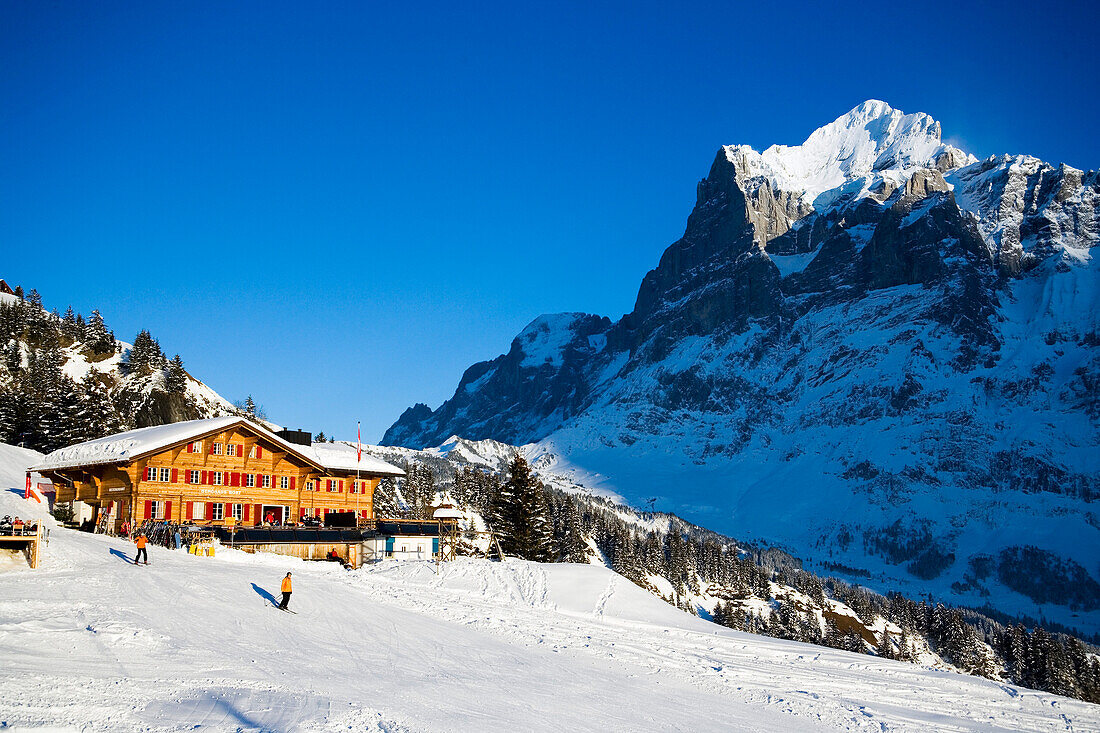 Mountain restaurant Bort with mountain Wetterhorn in background, First, Grindelwald, Bernese Oberland, Canton of Bern, Switzerland