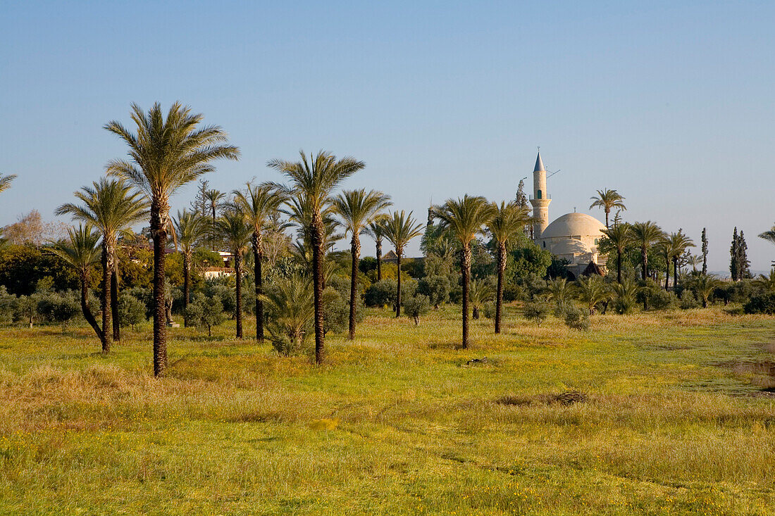 Moschee zwischen Palmen, Moschee Hala Sultan Tekke, Larnaka Salzsee, Larnaka, Südzypern, Zypern