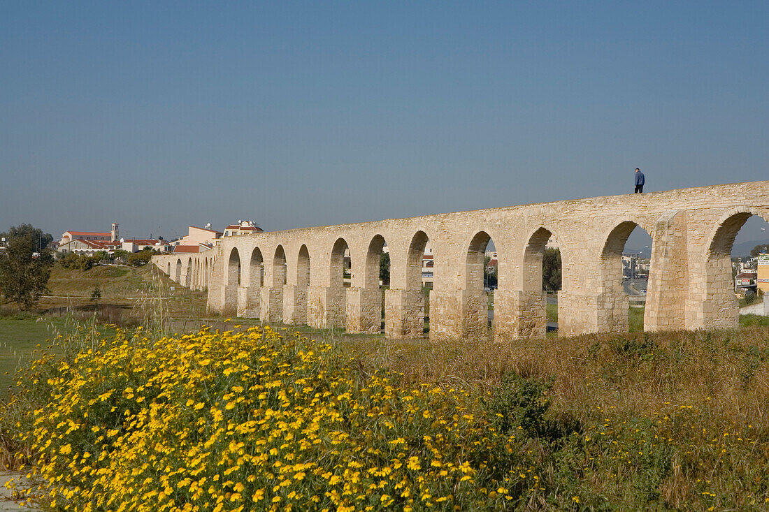 Osman aqueduct with flower meadow, Larnaka, South Cyprus, Cyprus