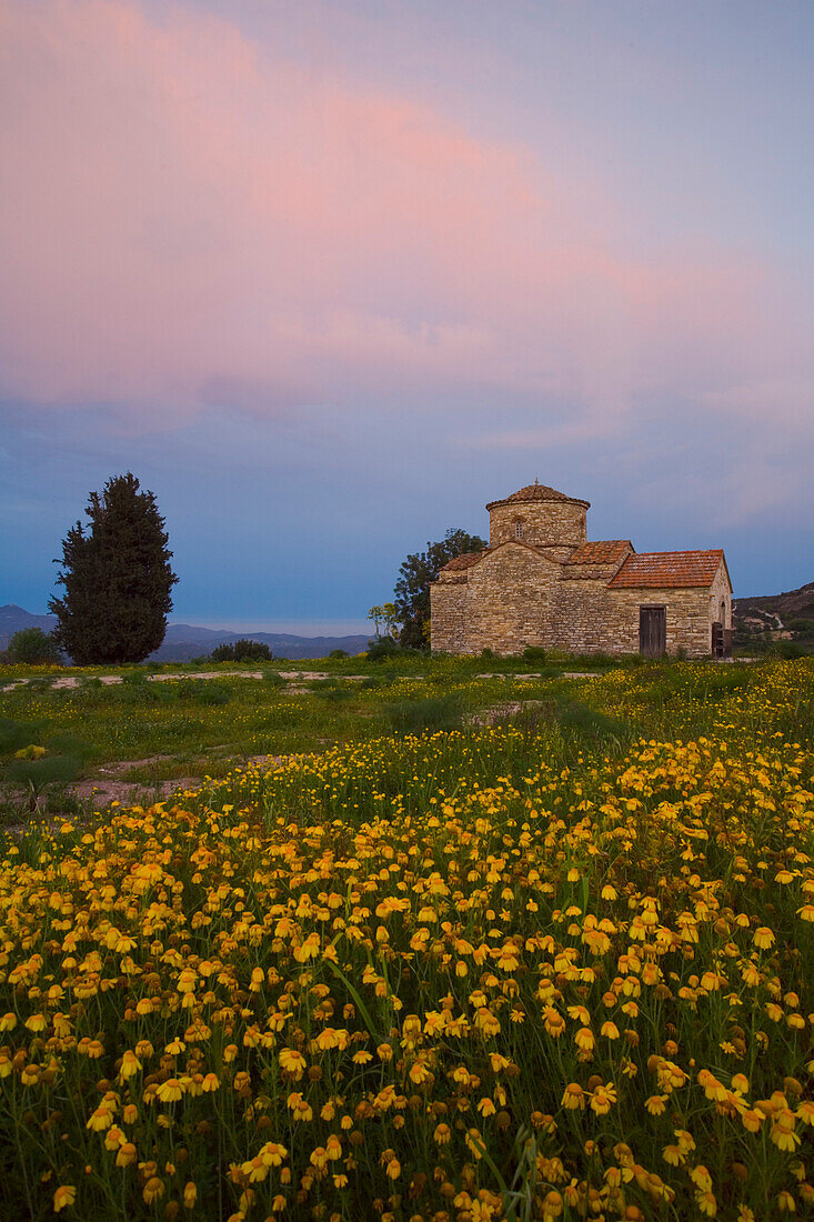 Kirche und Blumenwiese, Kato Lefkara, Lefkara, Südzypern, Zypern