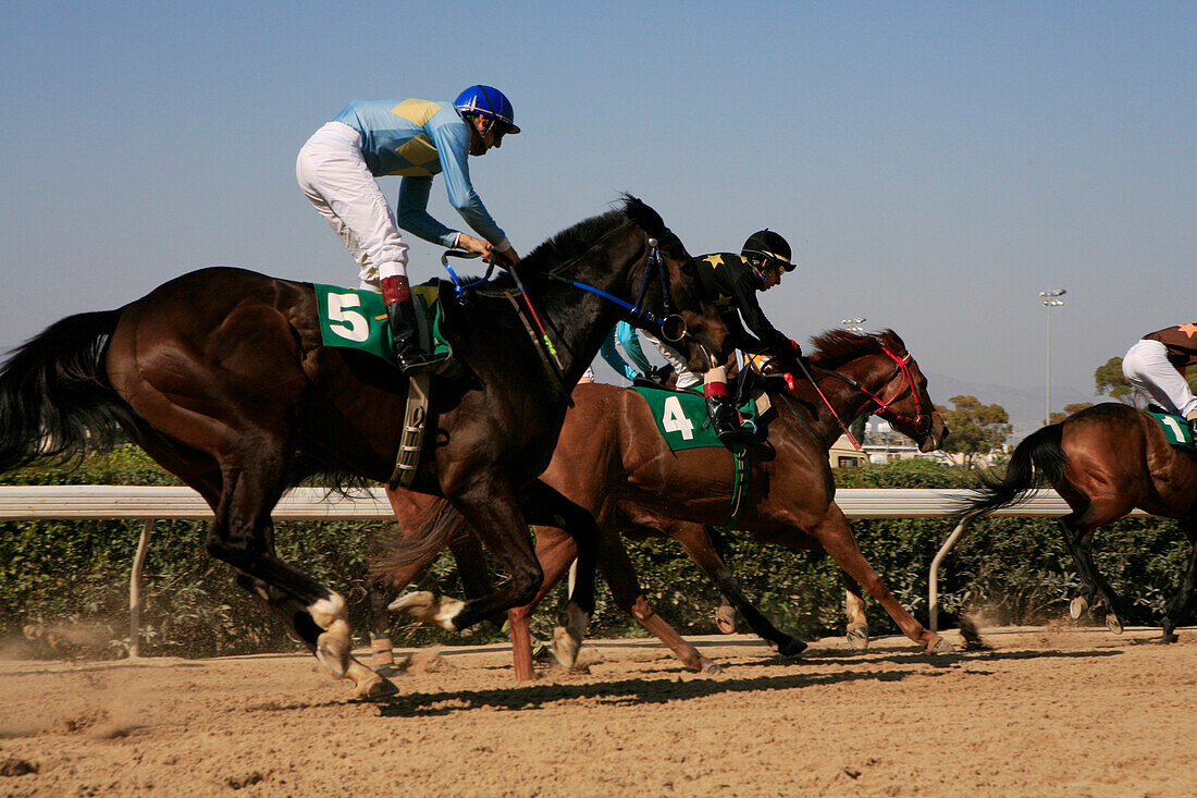 Jockeys riding race horses at a horse race, Nicosia, Lefkosia, South Cyprus, Cyprus