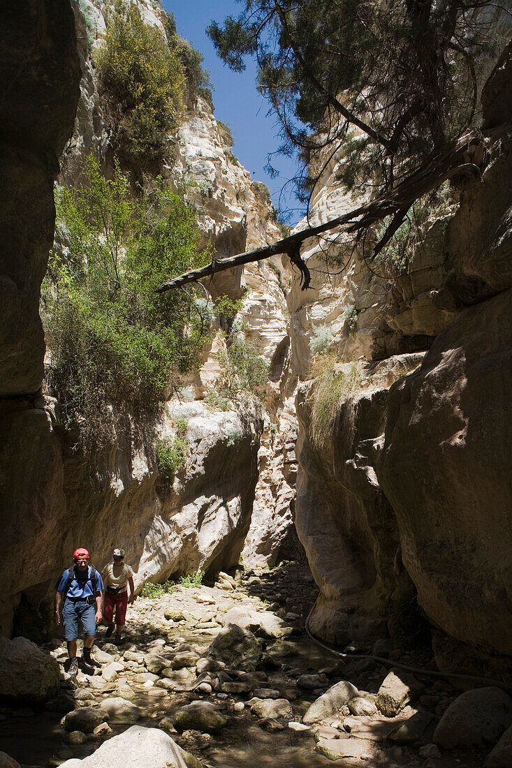 Two people hiking through Avakas Gorge, Akamas Nature Reserve Park, South Cyprus, Cyprus