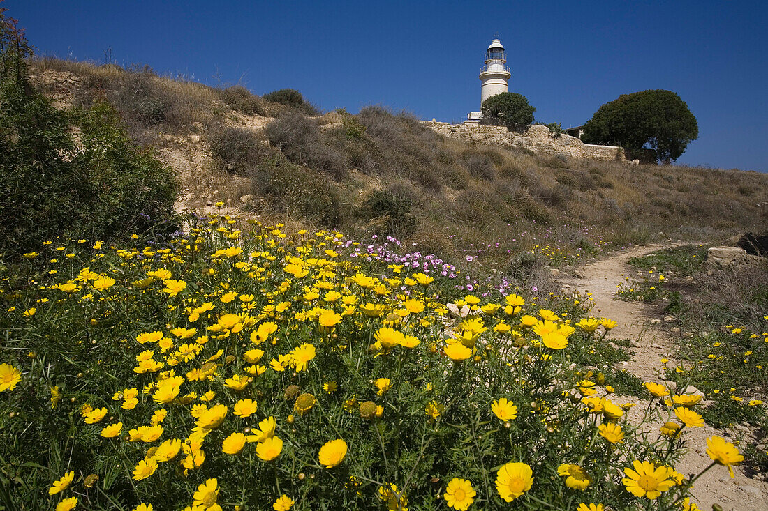 Lighthouse and flowers at the Archaeological Park, Paphos, South Cyprus, Cyprus