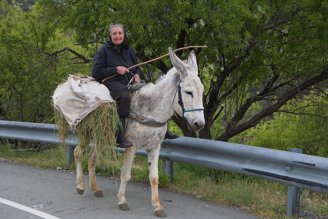 Alte Frau auf Esel, Lasttier, Landwirtschaft, in der Nähe von Fikardou, Pitsilia, Troodos Gebirge, Südzypern, Zypern