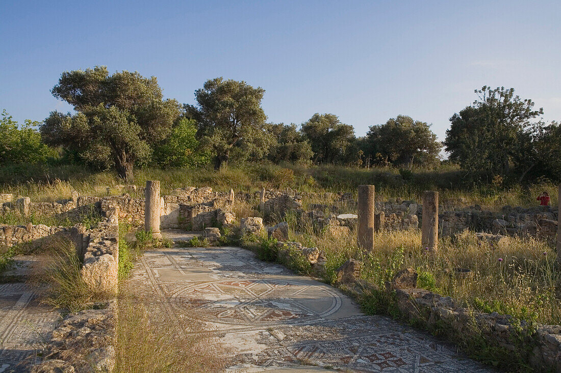 Agia Trias with mosaic floor, Basilica ruins, Erenkoy, Gialousa, North Cyprus, Cyprus