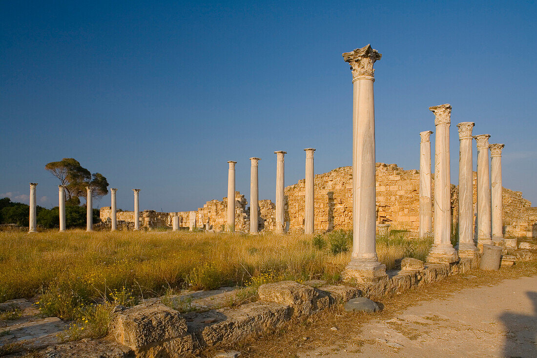 Antique Gymnasium, Palaestra, with columned courtyard, Archaeology, Salamis ruins, Salamis, North Cyprus, Cyprus