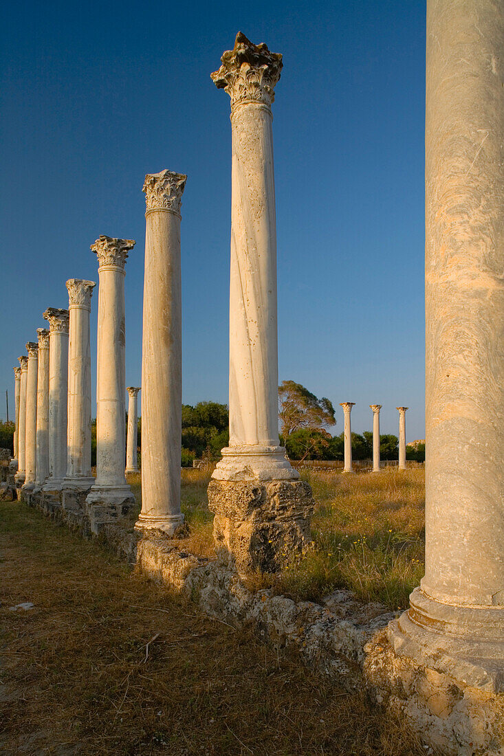 Antique Gymnasium, Palaestra, with columned courtyard, Archaeology, Salamis ruins, Salamis, North Cyprus, Cyprus