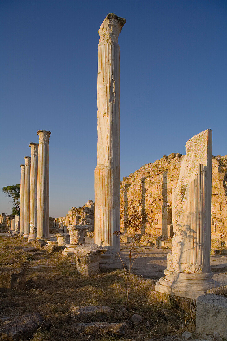 Gymnasium with its columned Palaestra, Ancient city of Salamis, courtyard, Salamis ruins, Salamis, Cyprus