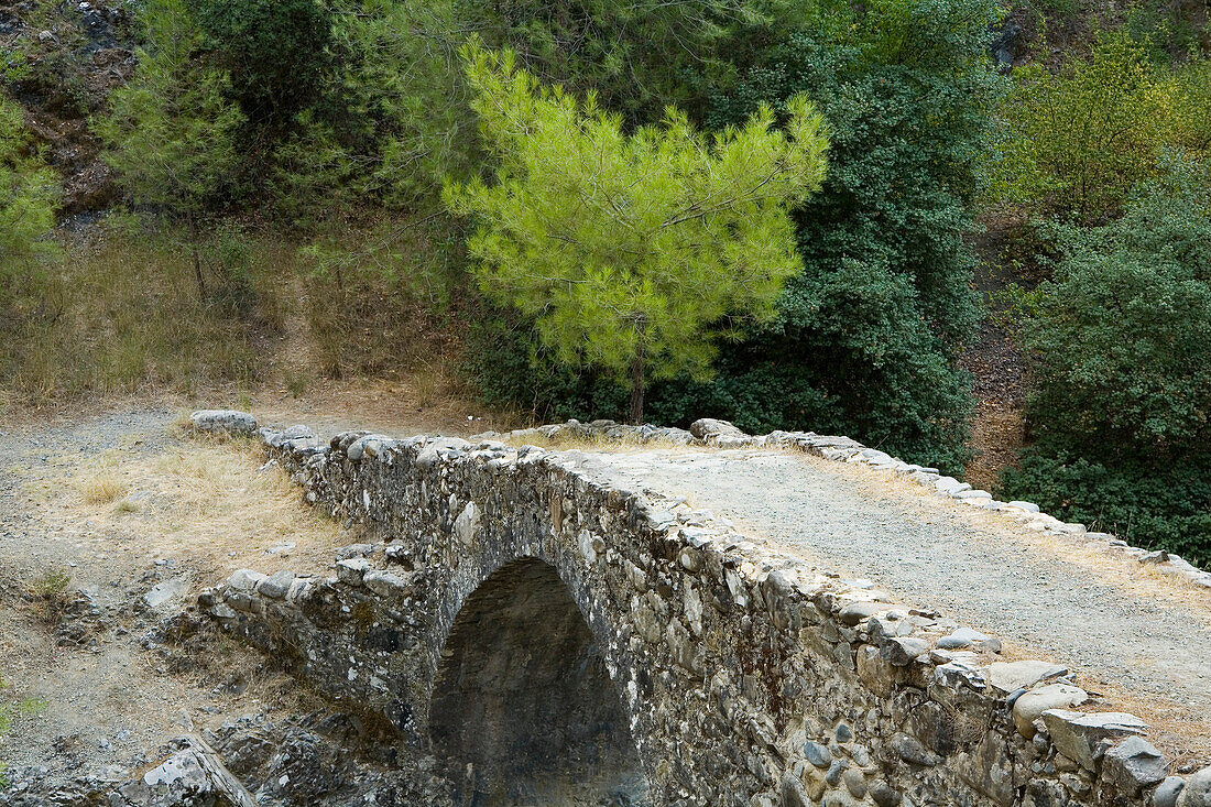 Stone bridge over a river in Diarizos Valley, near Pafos, Cyprus