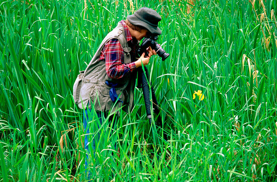 Woman photographing Fleur-de-lis, Umpqua River, Oregon coast, USA