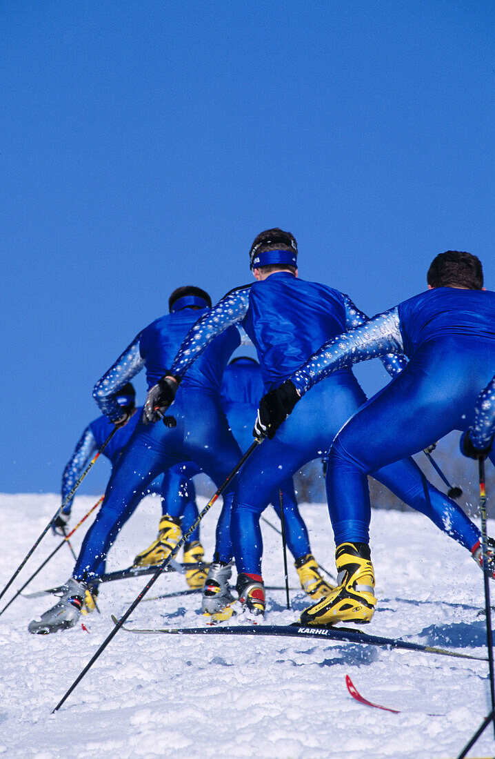 Cross Country Skiers