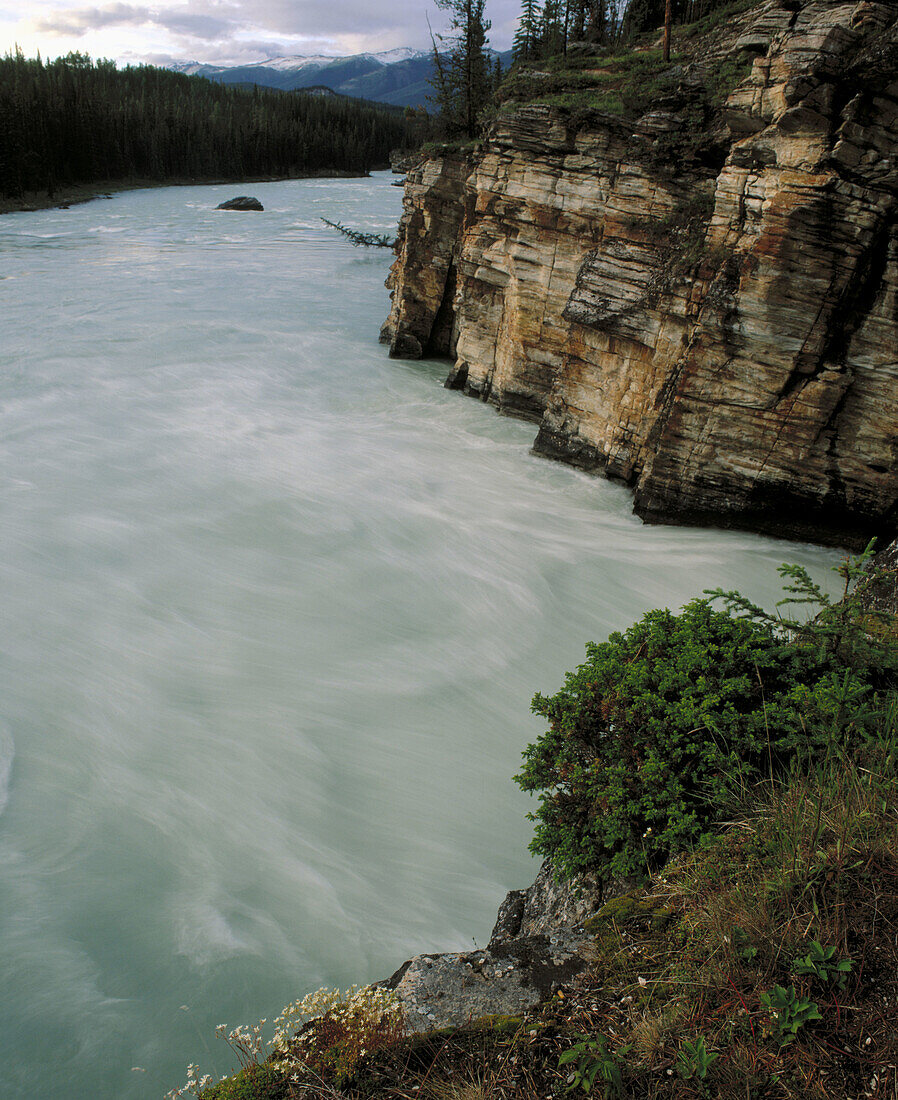 Athabasca River in Jasper National Park. Alberta, Canada