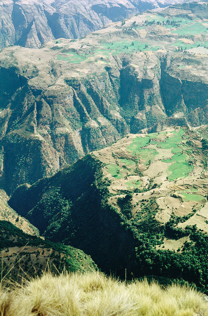 Simien mountains. Ethiopia.