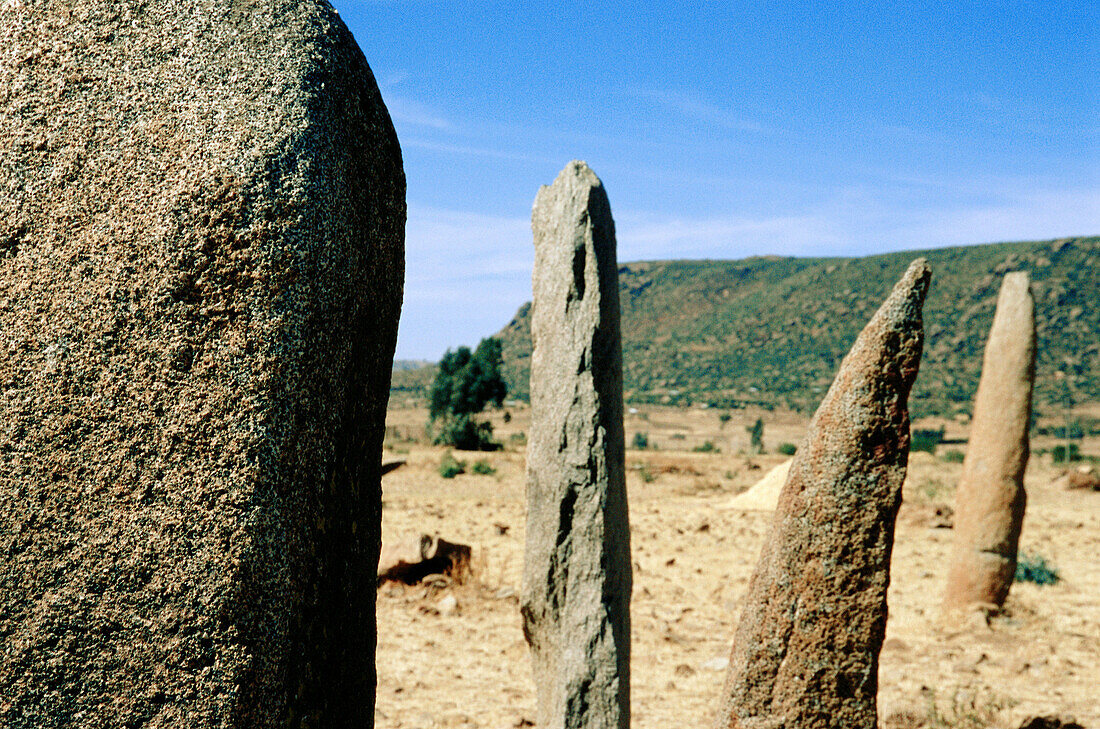 Gudit stelae field. Aksum. Ethiopia.