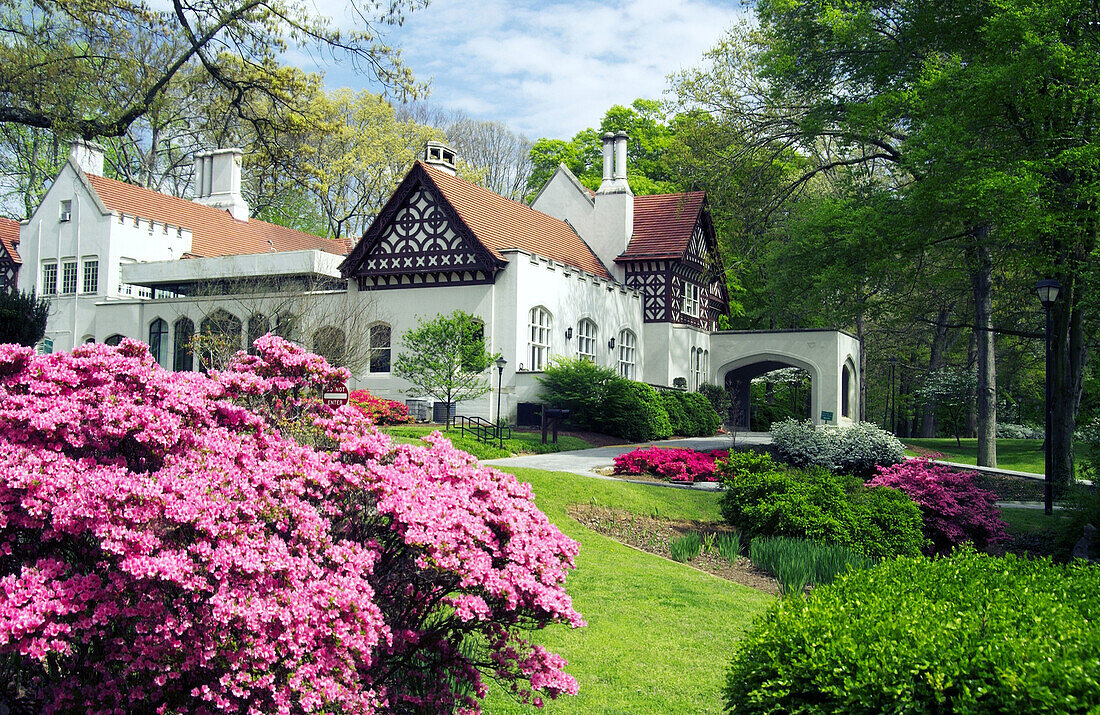 Spring Azalea gardens at the Callenwolde Arts Center. Atlanta, Georgia. USA