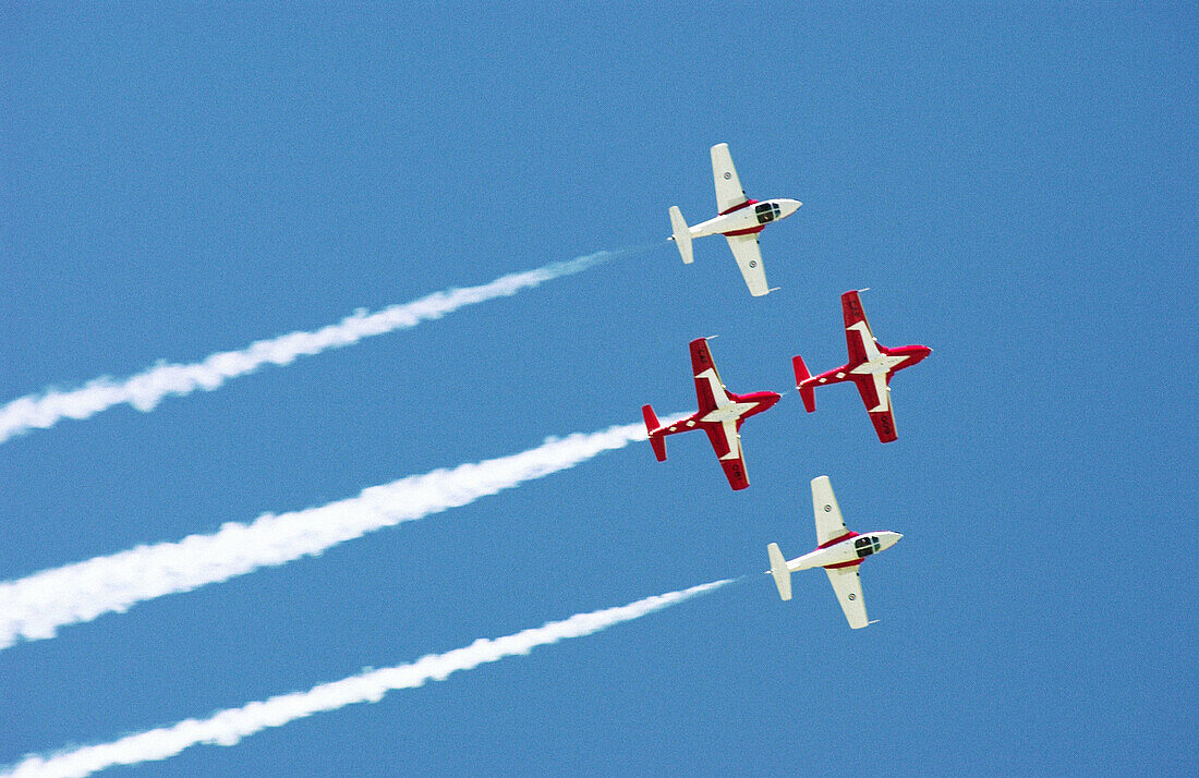 Canadian Forces Snowbirds air acrobatic team