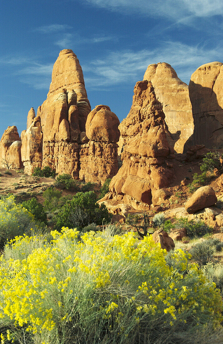 Rock formations in the Garden of Eden in Arches National Park near Moab, Utah, USA