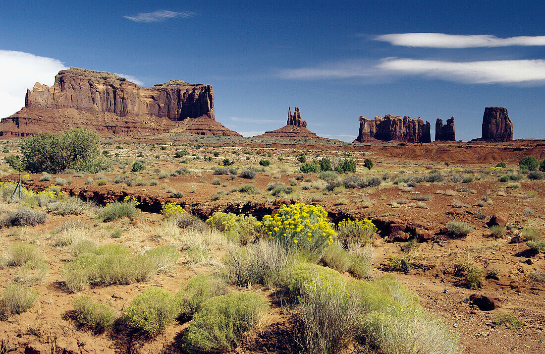 The sandstone buttes of Monument Valley Utah, USA from highway 163.