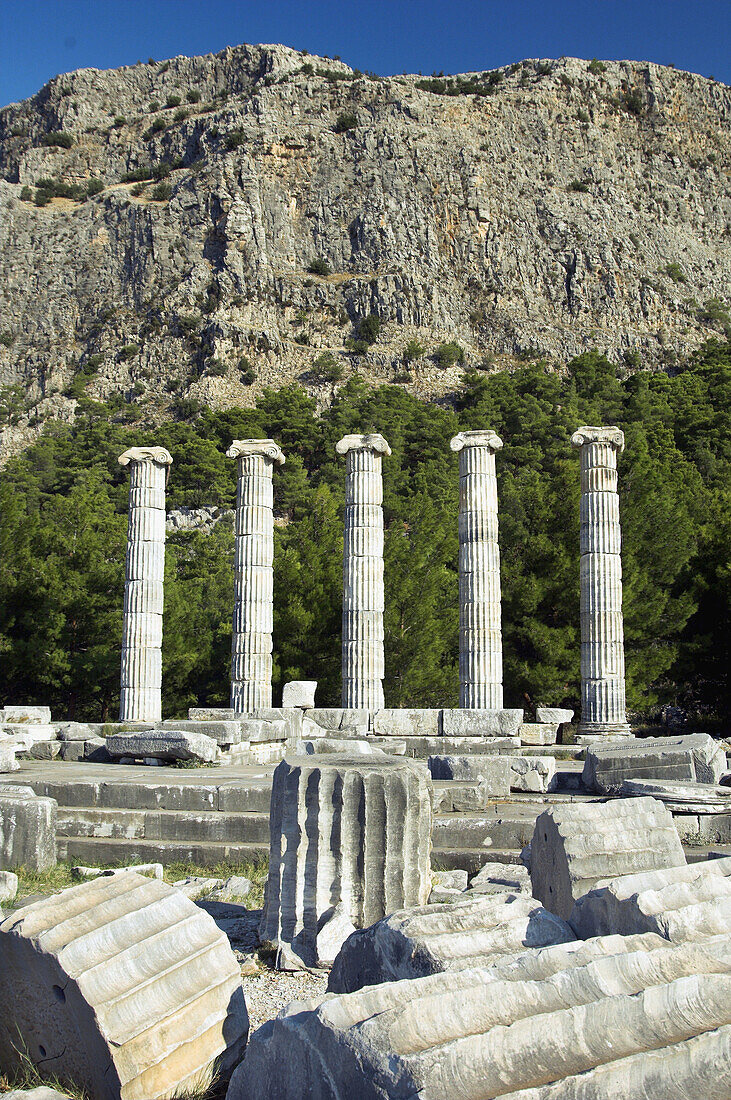 Several columns of the Temple of Athena beneath Mt Mykale are still standing among the ruins of Priene, Turkey.