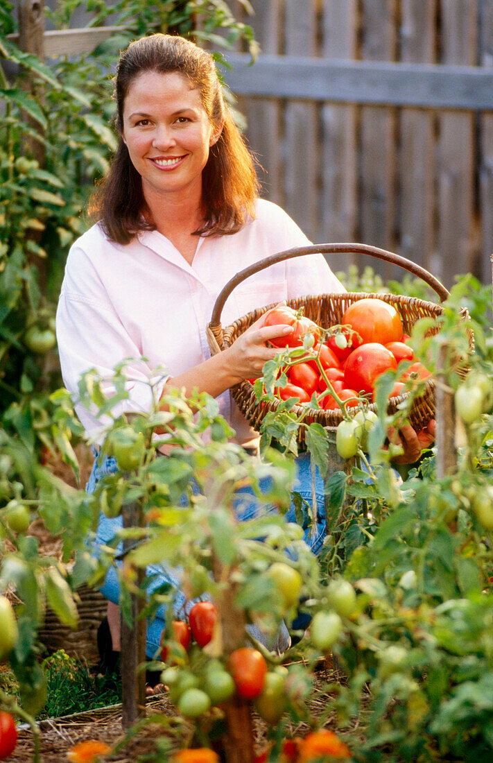 Woman picking various tomatoes