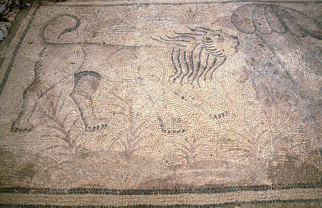 Mosaic at Es Fornàs Early Christian basilica. Torrelló, Maó. Minorca, Balearic Islands. Spain