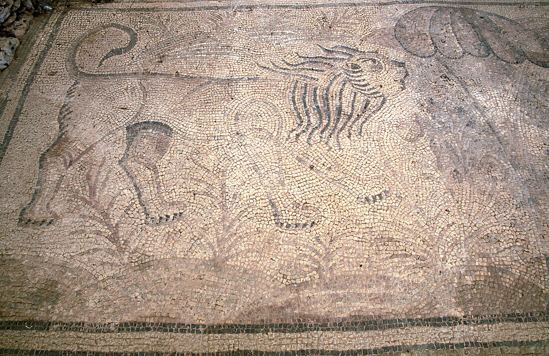 Mosaik in der frühchristlichen Basilika von Es Fornàs. Torrelló, Maó. Menorca, Balearische Inseln. Spanien