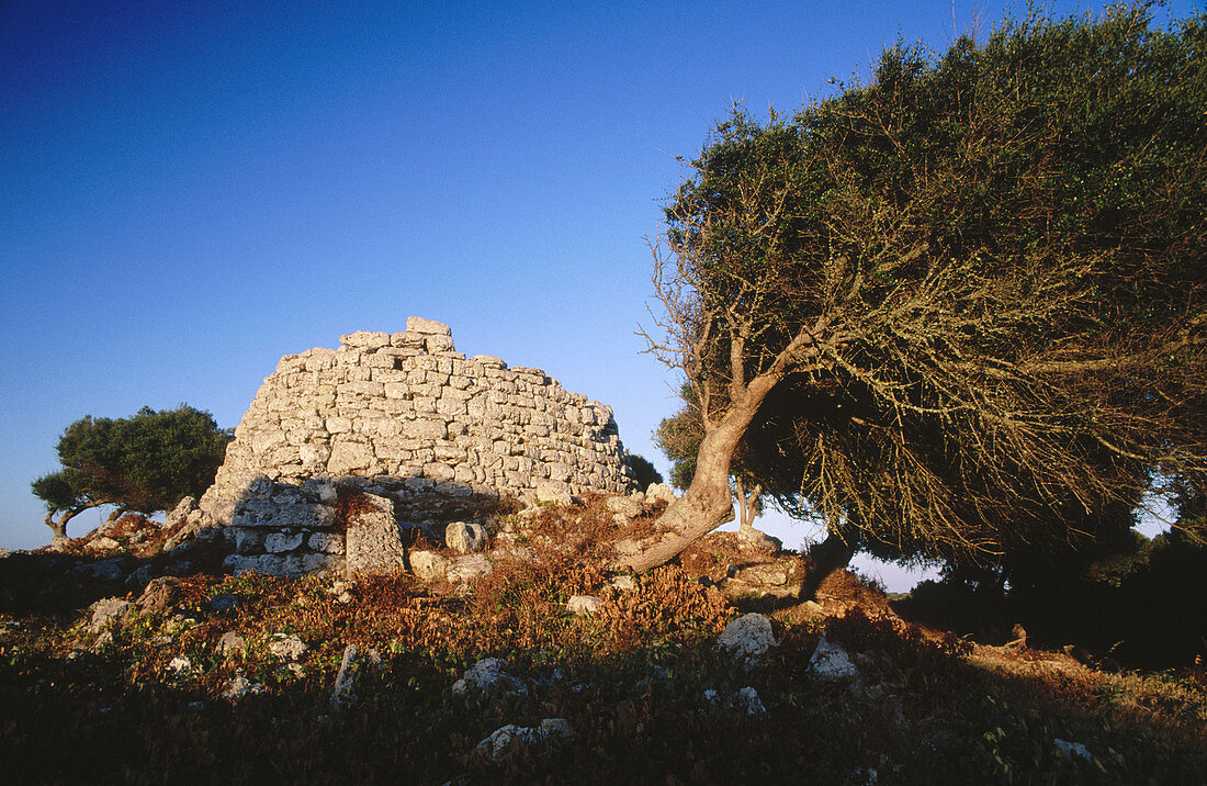 Talaiot , prähistorisches Bauwerk. Talatí de Dalt. Menorca, Balearische Inseln. Spanien