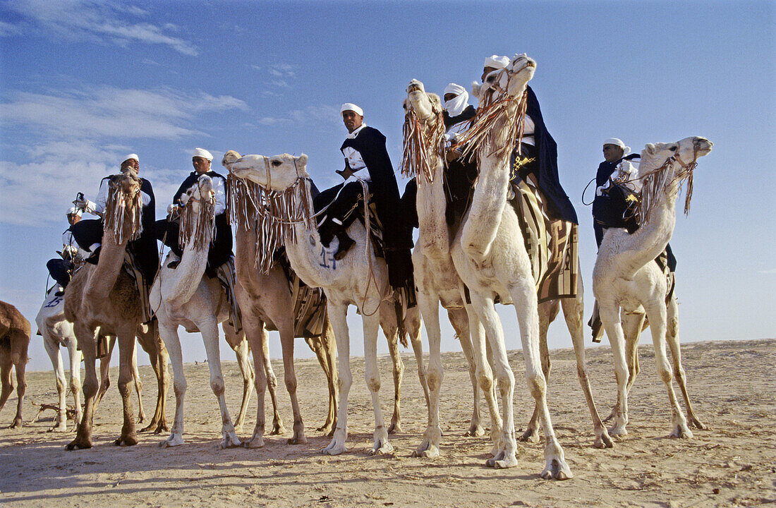 Bedouin men at Sahara festival. Douz, Tunisia