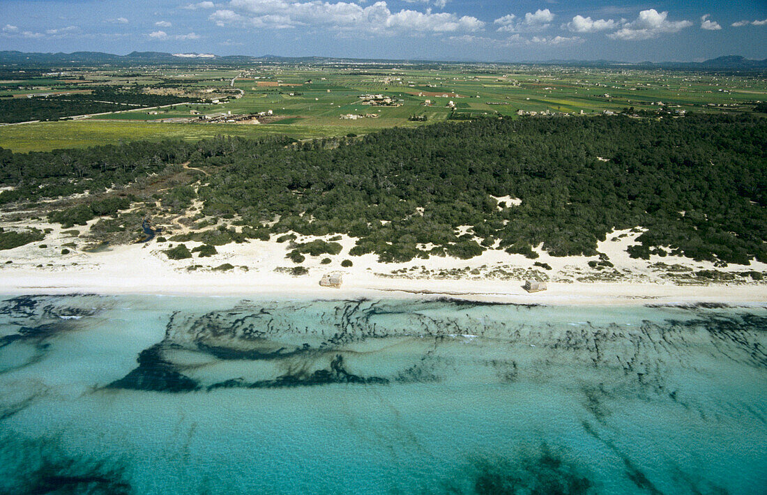 Strand Es Trenc. Campos. Mallorca, Balearische Inseln. Spanien