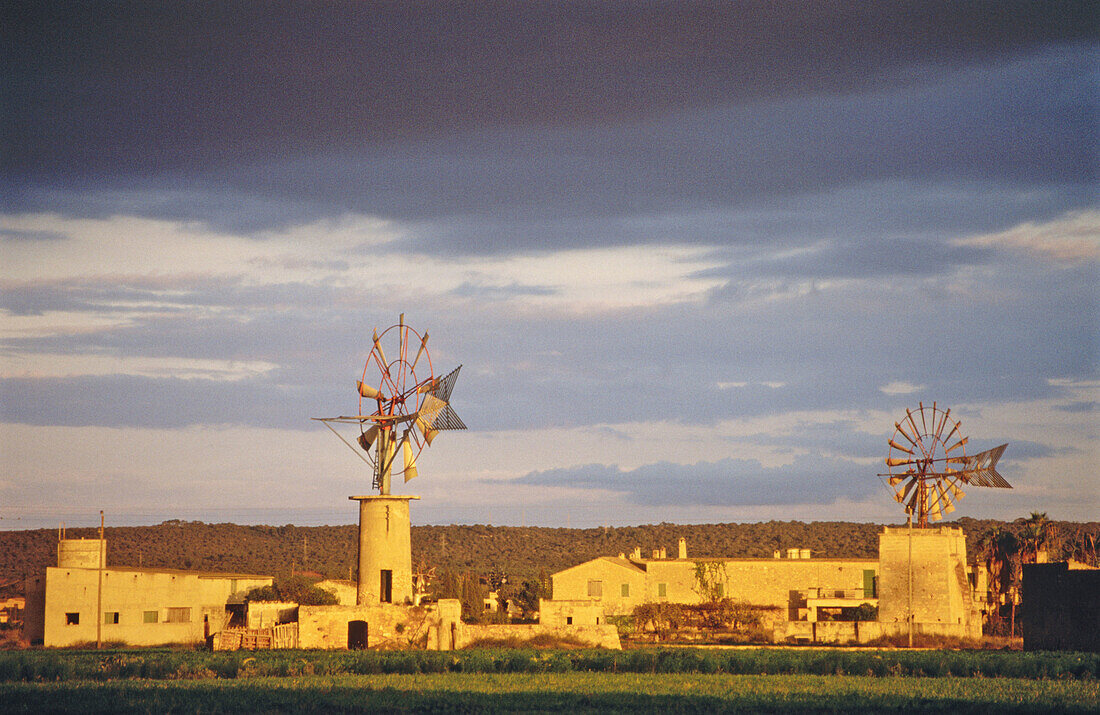 Windmühlen. Sant Jordi, Mallorca. Balearische Inseln. Spanien