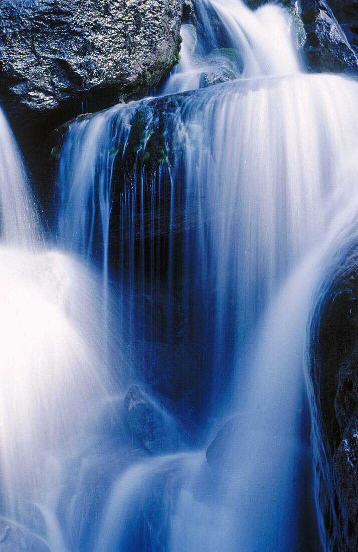 Cotatuero ravine. Ordesa valley. Pyrenees mountains. Aragón province. Spain.