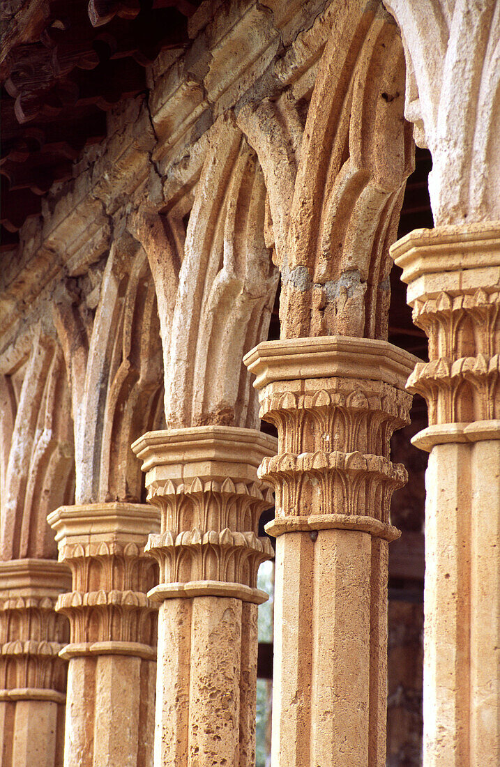 Columns. Miramar monastery, Valldemossa. Mallorca. Baleares. Spain