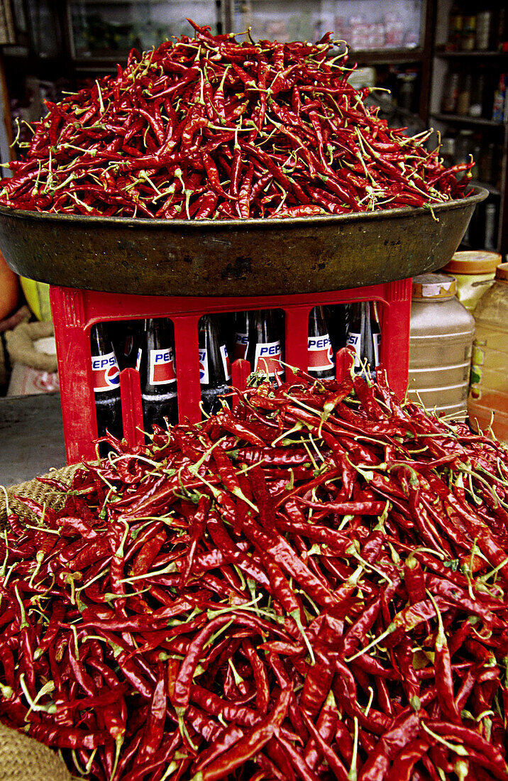 Scharfe Paprika. Agra. Uttar Pradesh. Indien