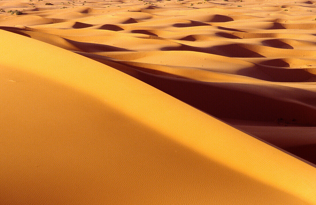 Meer der Dünen. Erg Chebbi. Merzouga. Tafilalet. Marokko