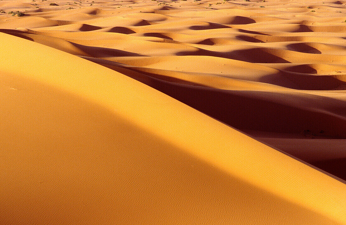 Sea of dunes. Erg Chebbi. Merzouga. Tafilalet. Morocco.
