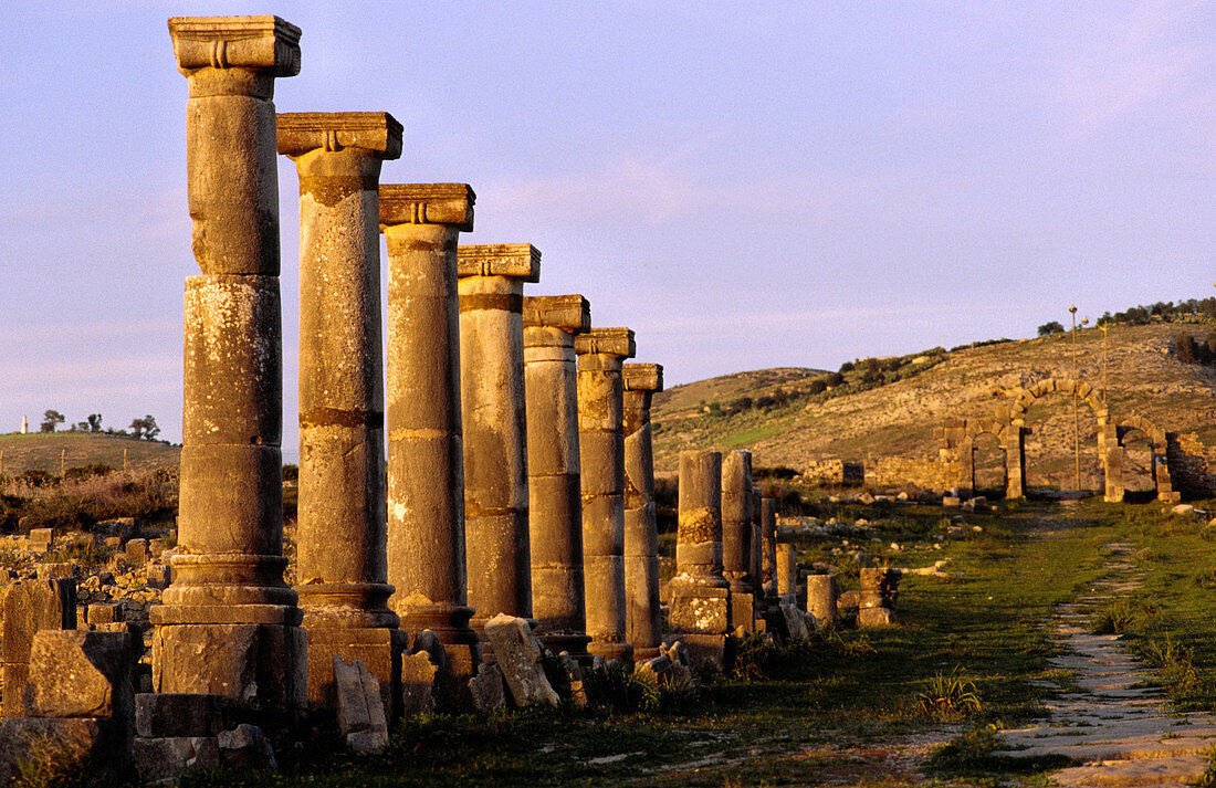 Hauptstraße. Römische Ruinen von Volubilis. Fes. Marokko