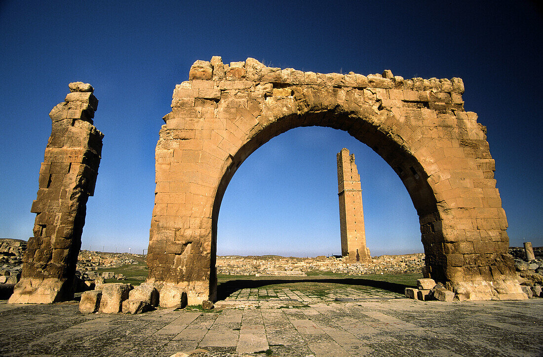 Ruinen der Moschee Ulu Cami (VIII. Jh.). Harran. Südostanatolien. Türkei