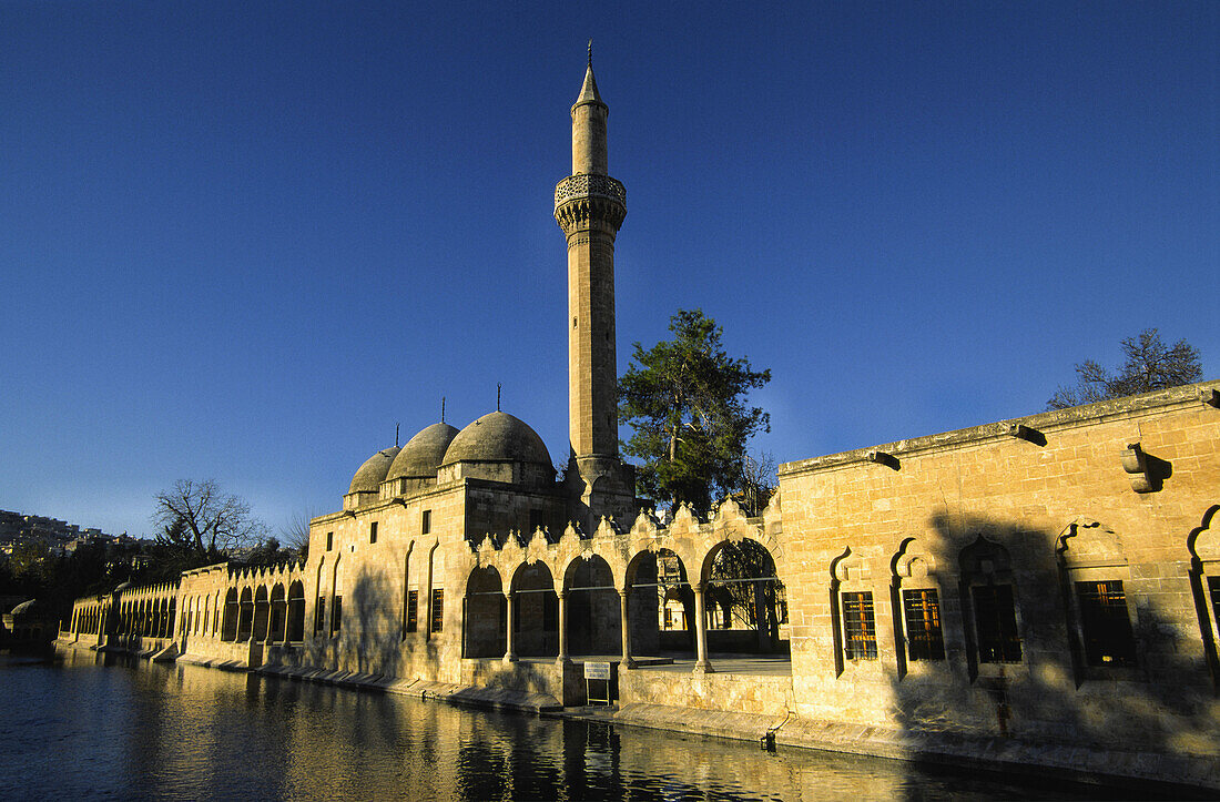 Rizvaniye Vakfi Camii mosque and Medressa next to Balikli Göl pond (Gölbasi). Sanliurfa. Southeast Anatolia. Turkey.
