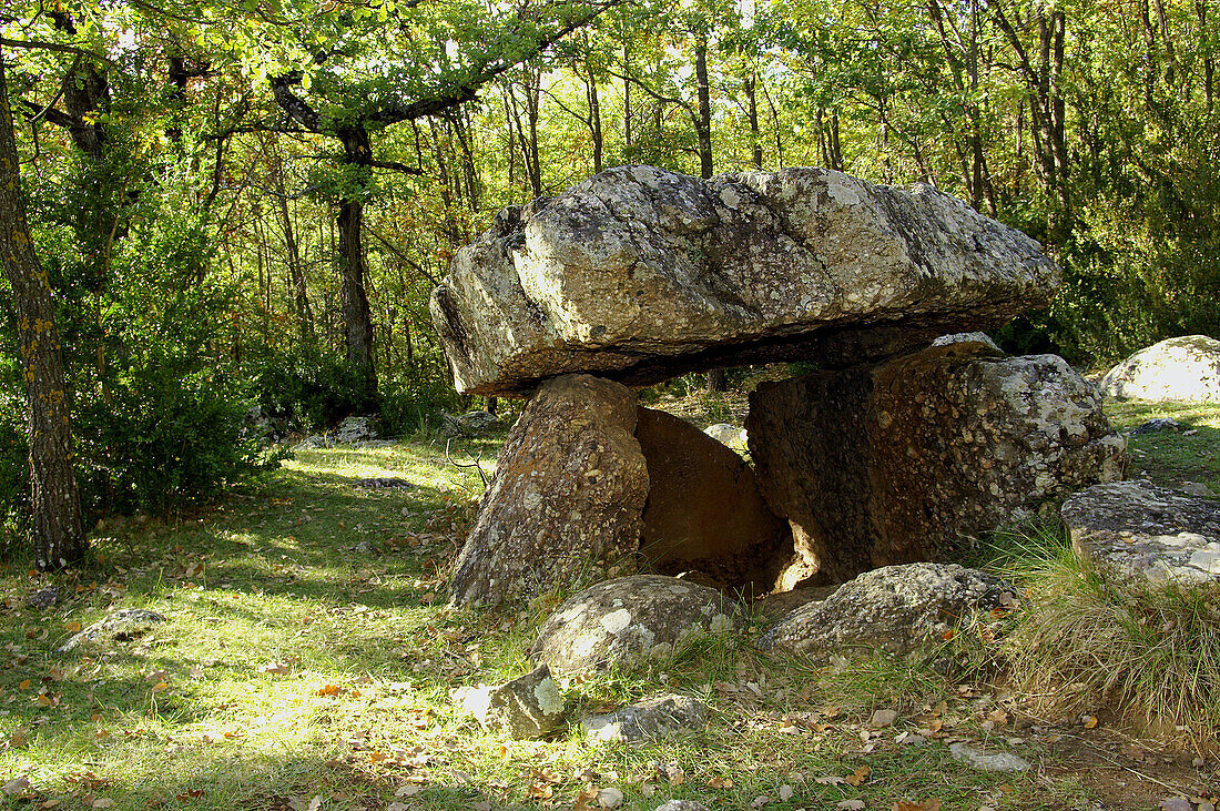 Cornudella-Dolmen. Bosque de Transás. Pirineo Aragonés. Provinz Huesca. Spanien