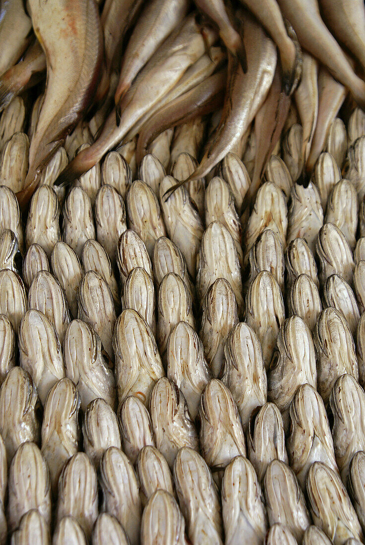 Markt in der Medina. Essaouira (Mogador). Marokko