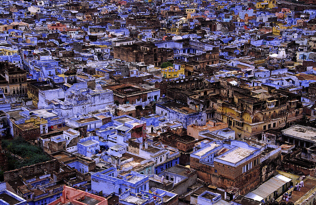 Pueblo azul desde el fuerte Taragarh.(s.XVI). Bundi. Kordillere Vindhya. Rajastan. Indien