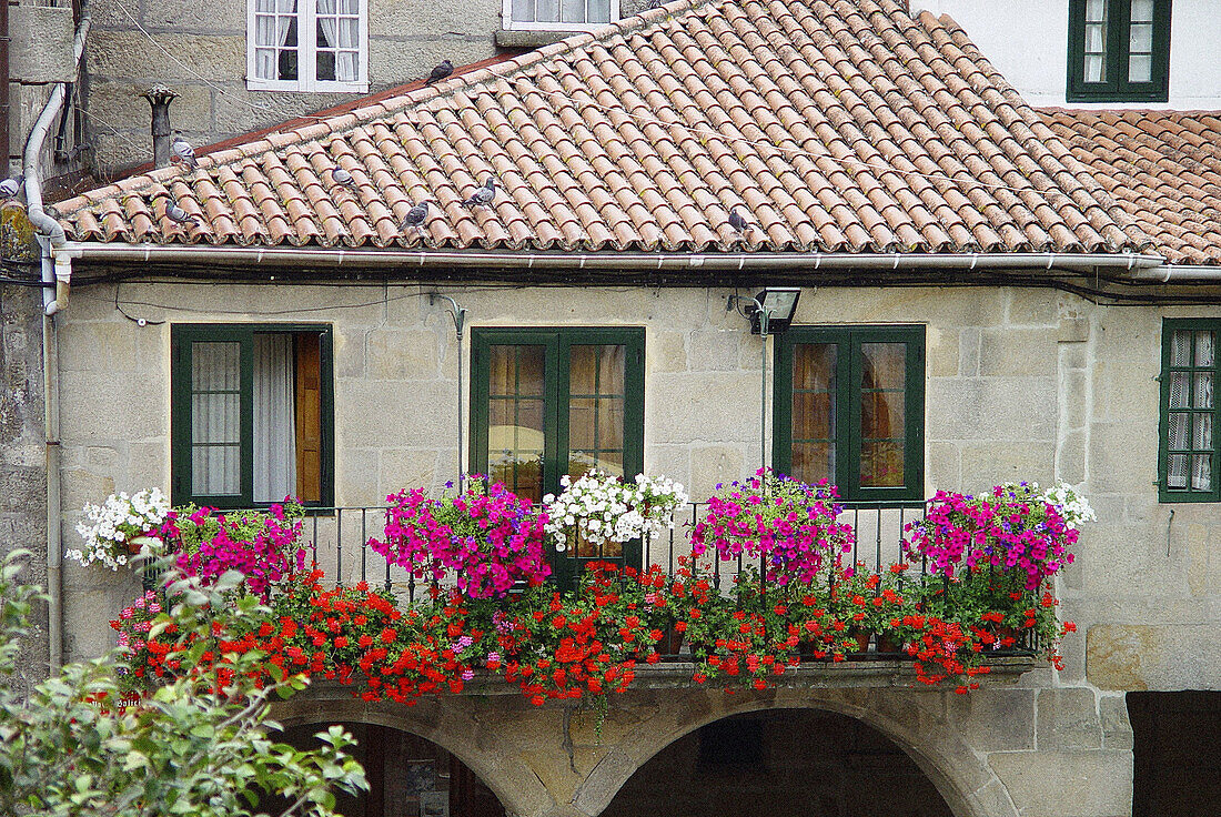 Flowers at balcony. Pontevedra. Spain